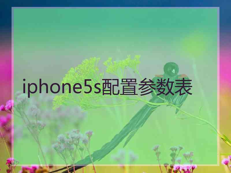 iphone5s配置参数表