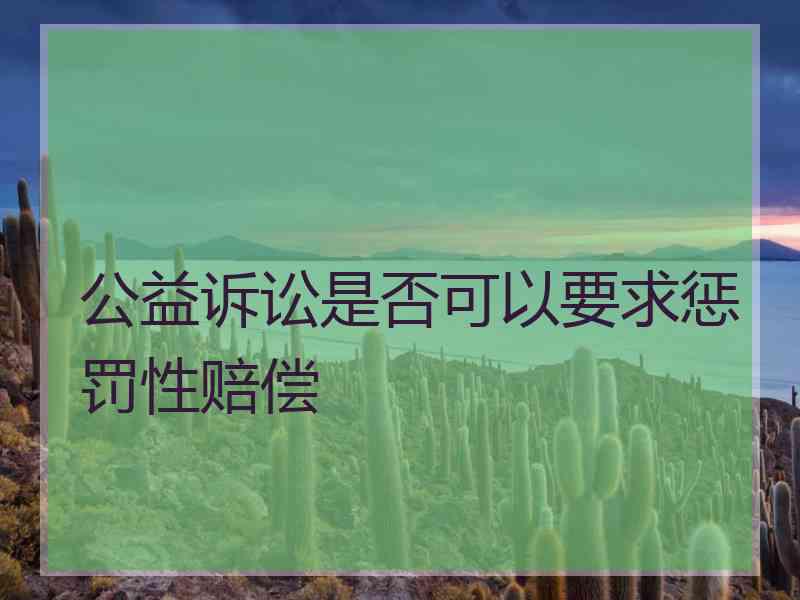 公益诉讼是否可以要求惩罚性赔偿