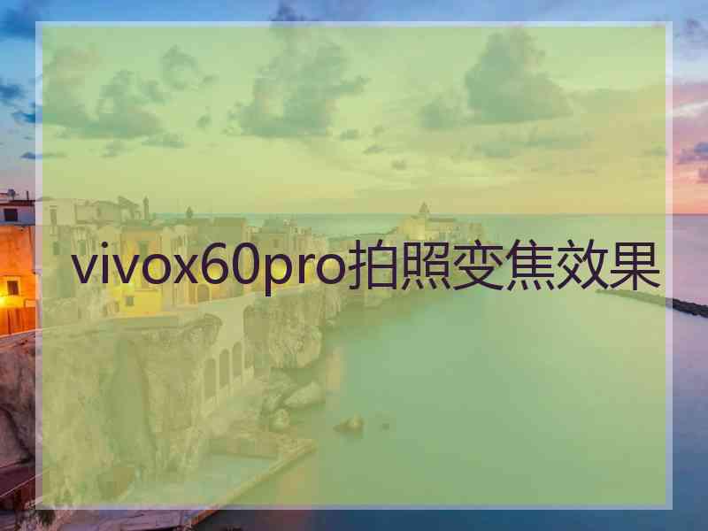 vivox60pro拍照变焦效果