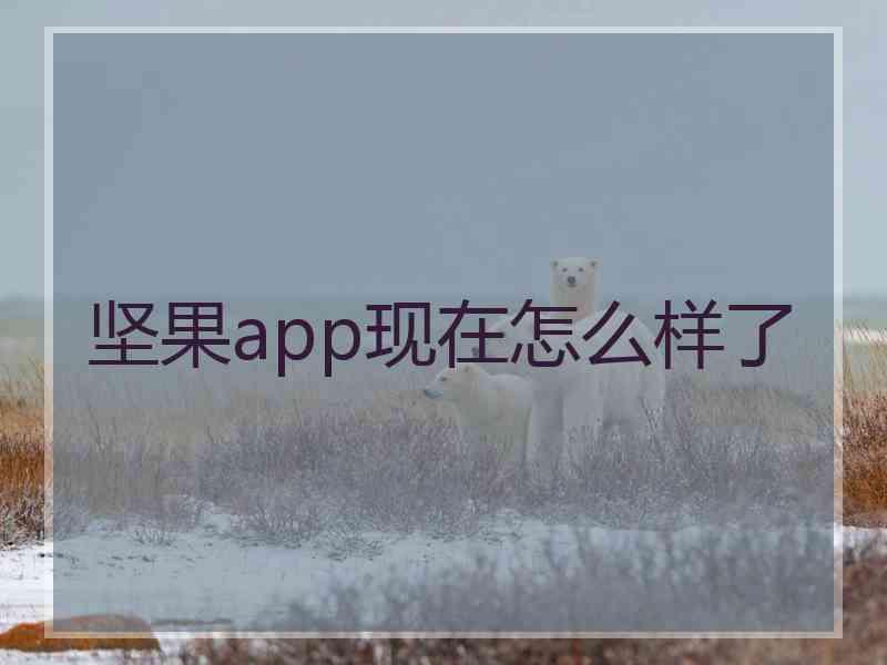 坚果app现在怎么样了