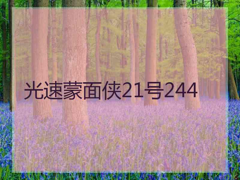 光速蒙面侠21号244