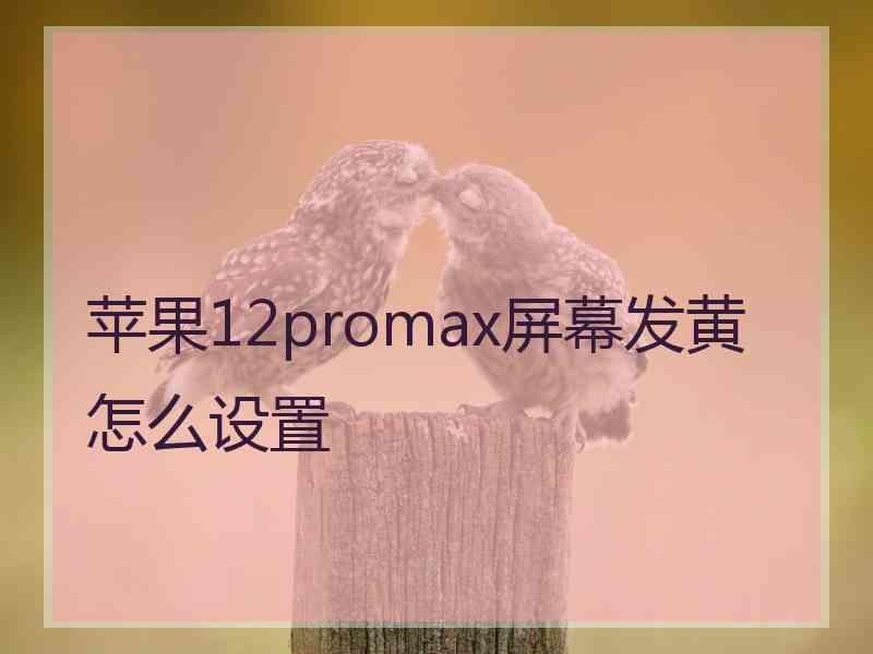 苹果12promax屏幕发黄怎么设置