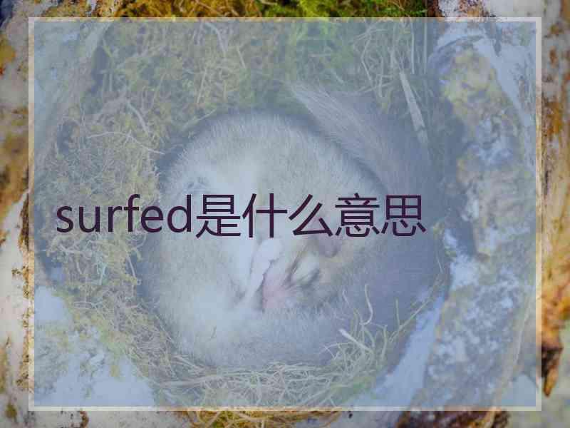 surfed是什么意思