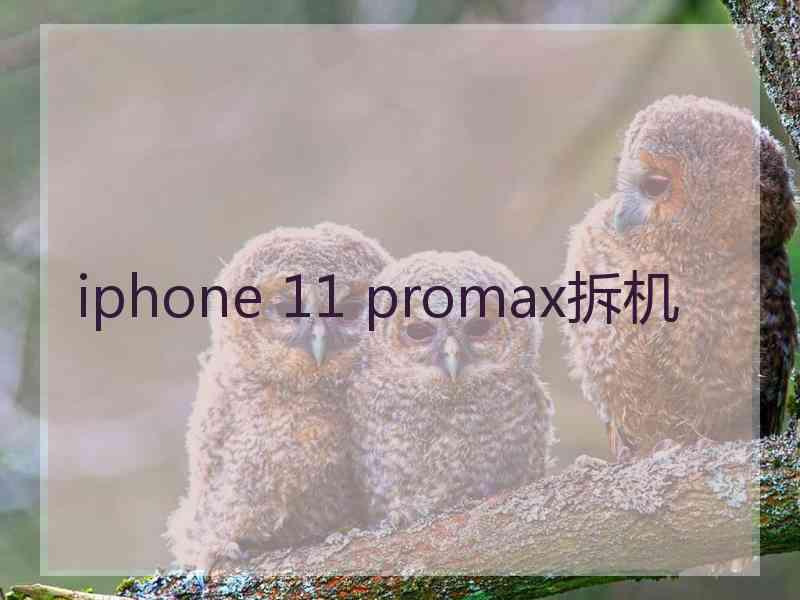 iphone 11 promax拆机