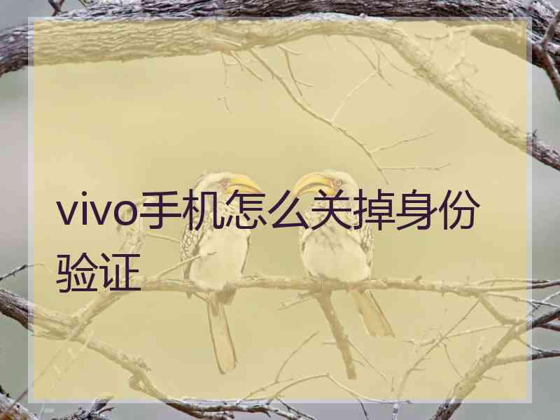 vivo手机怎么关掉身份验证