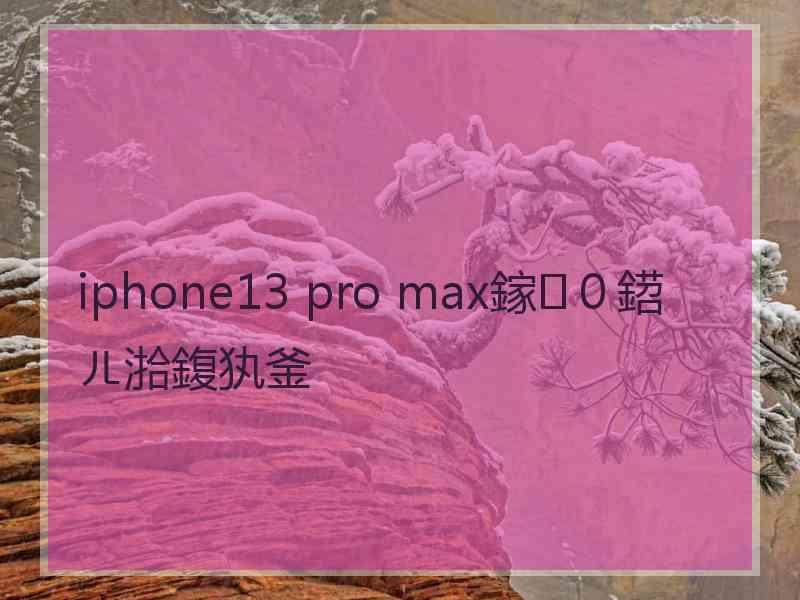 iphone13 pro max鎵０鍣ㄦ湁鍑犱釜