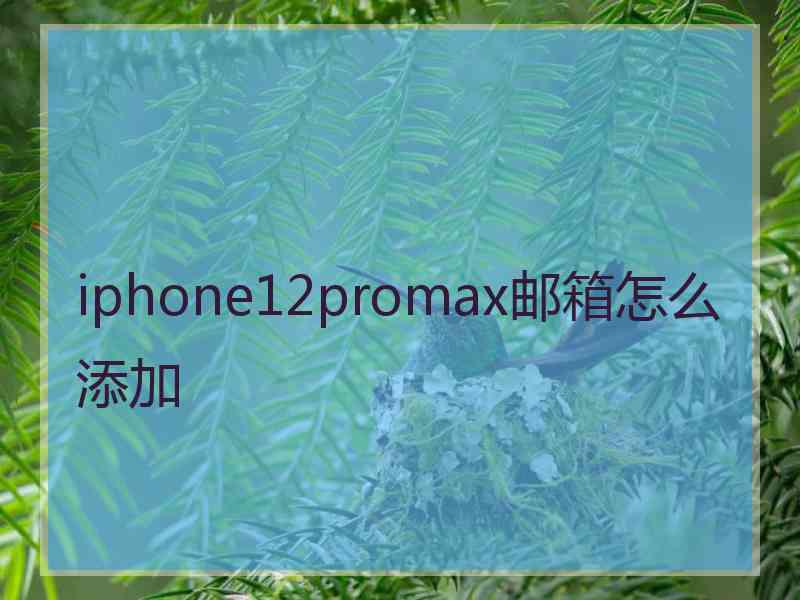 iphone12promax邮箱怎么添加