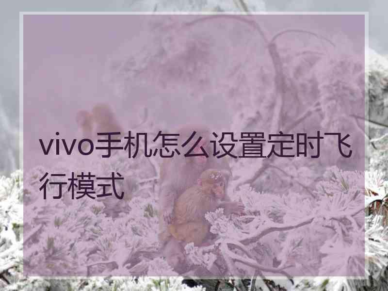 vivo手机怎么设置定时飞行模式