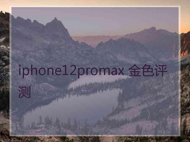 iphone12promax 金色评测