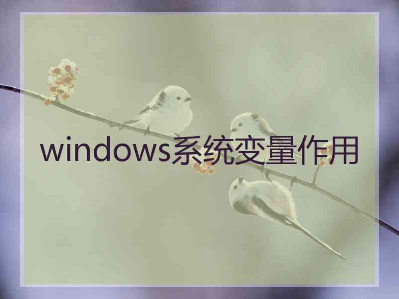 windows系统变量作用