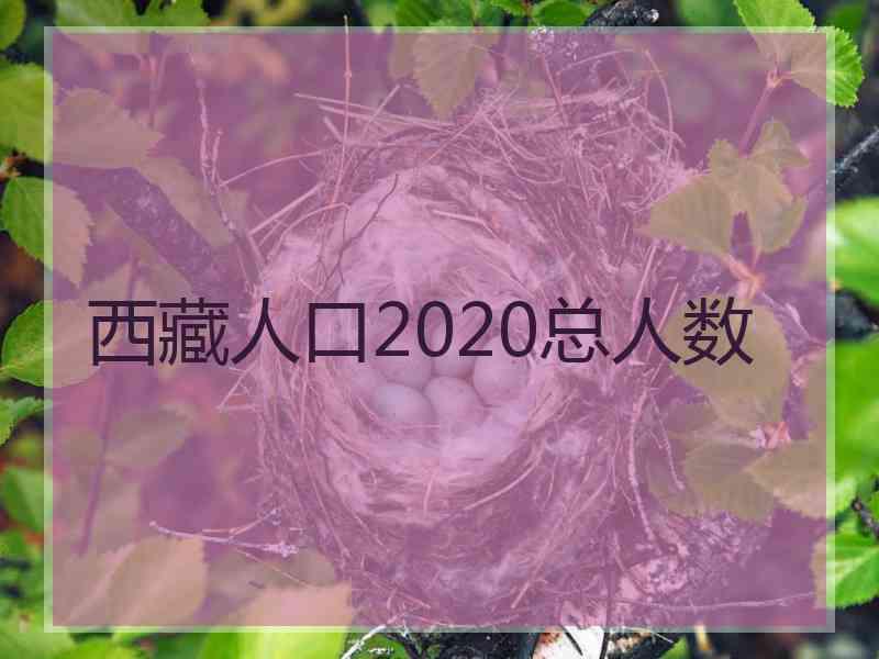 西藏人口2020总人数