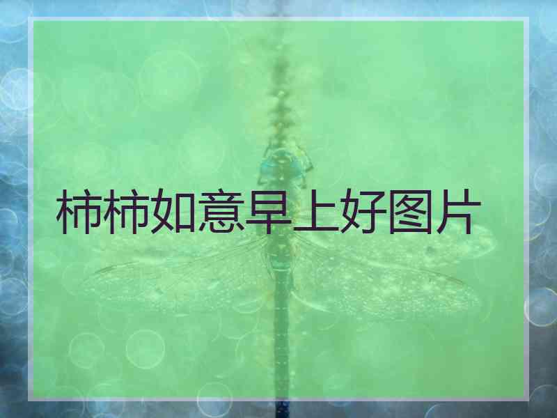 柿柿如意早上好图片