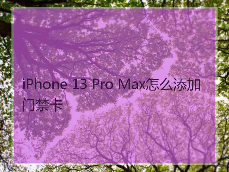 iPhone 13 Pro Max怎么添加门禁卡