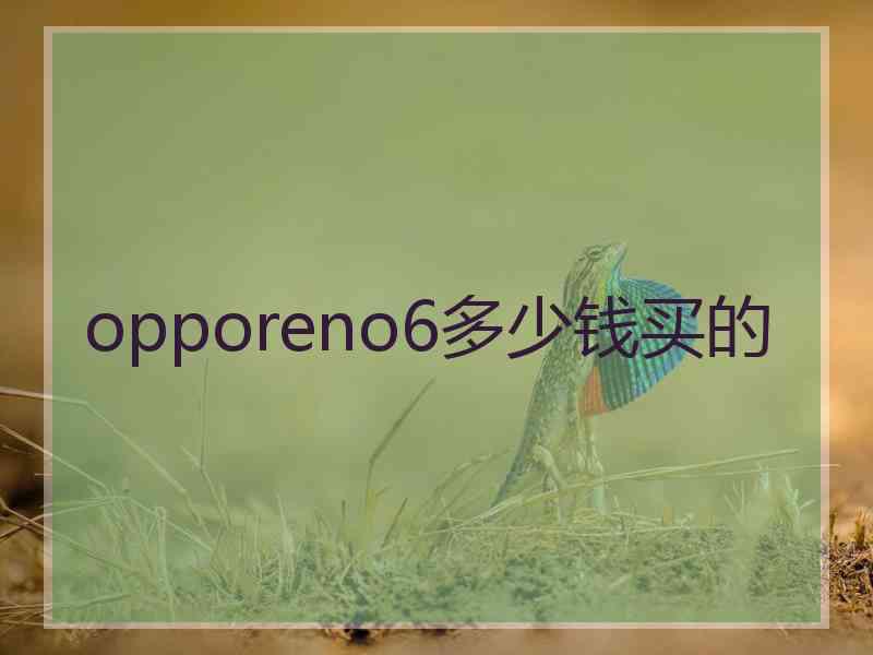 opporeno6多少钱买的