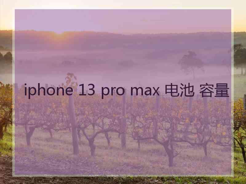 iphone 13 pro max 电池 容量