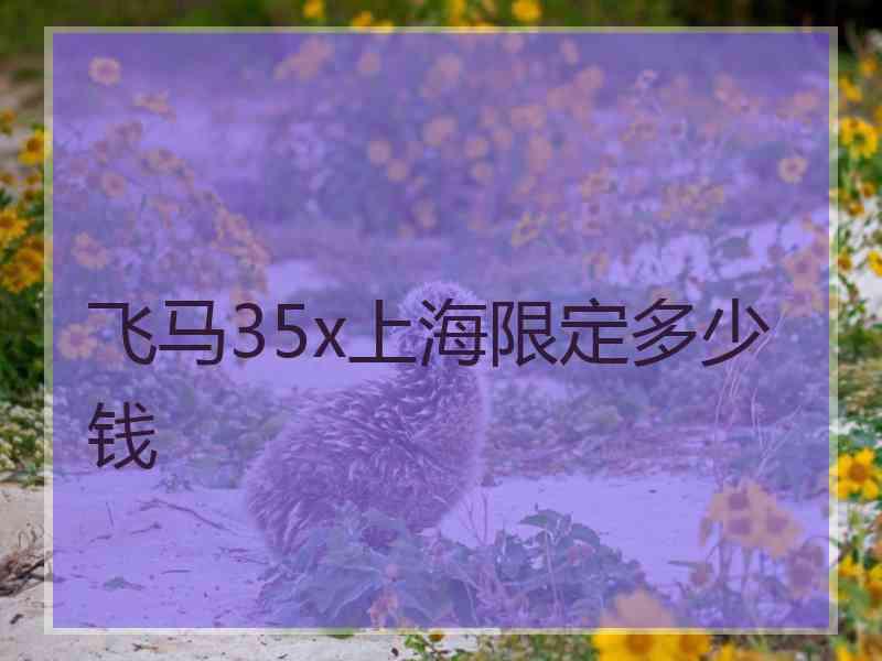 飞马35x上海限定多少钱