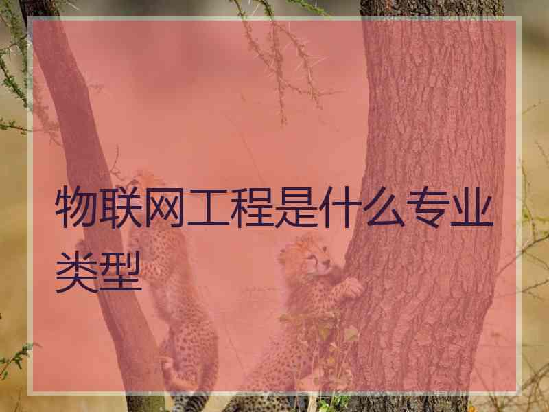 物联网工程是什么专业类型