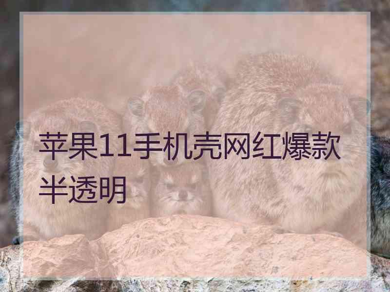 苹果11手机壳网红爆款半透明