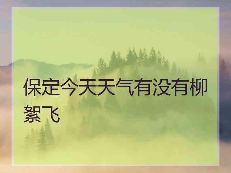 保定今天天气有没有柳絮飞