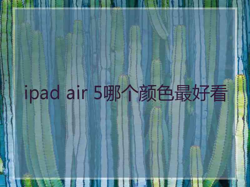 ipad air 5哪个颜色最好看