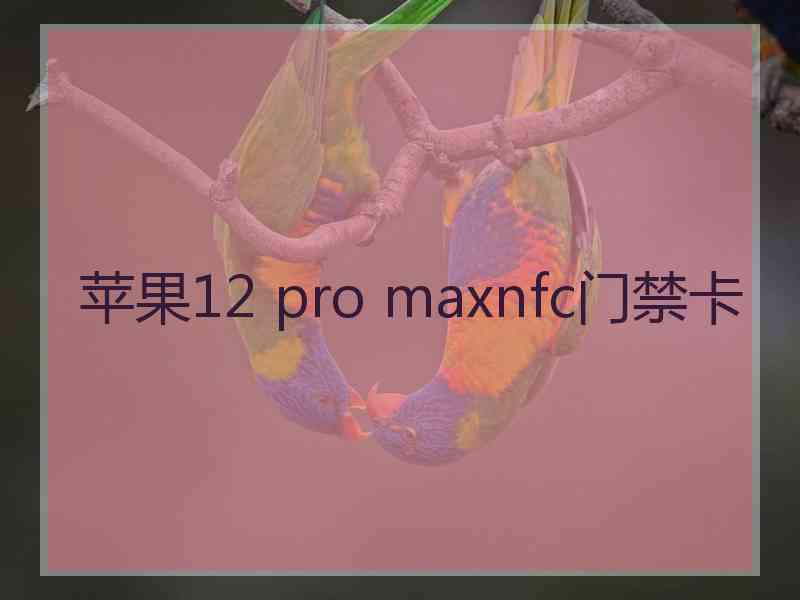 苹果12 pro maxnfc门禁卡