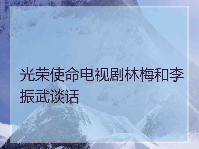 光荣使命电视剧林梅和李振武谈话