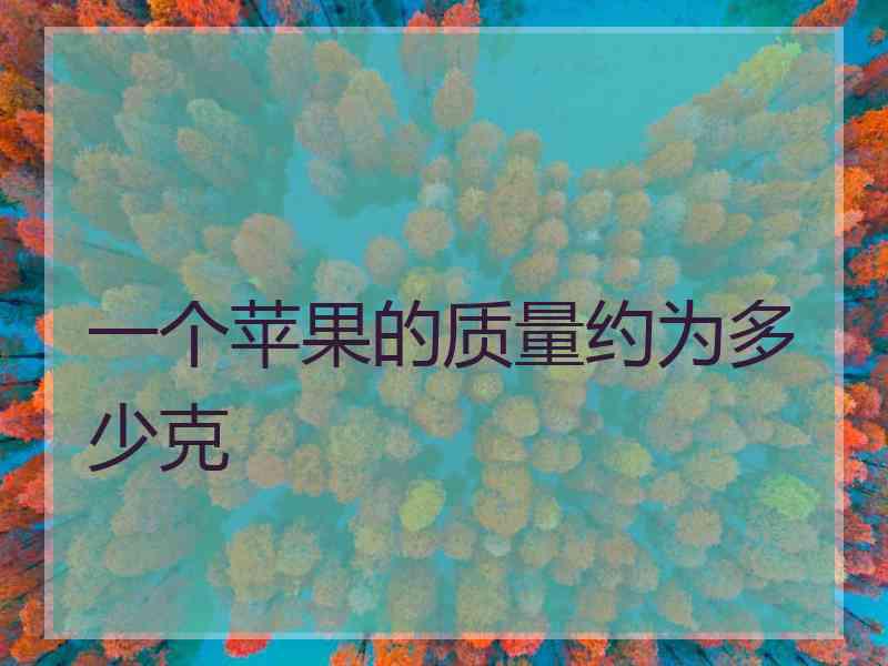 一个苹果的质量约为多少克