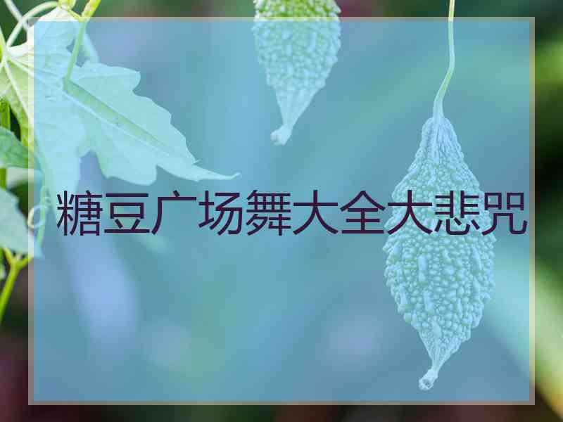 糖豆广场舞大全大悲咒