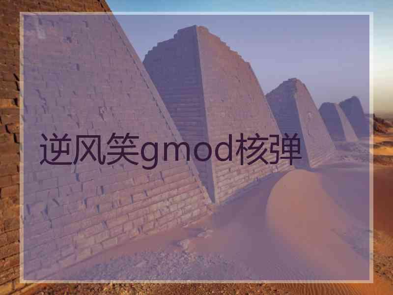 逆风笑gmod核弹