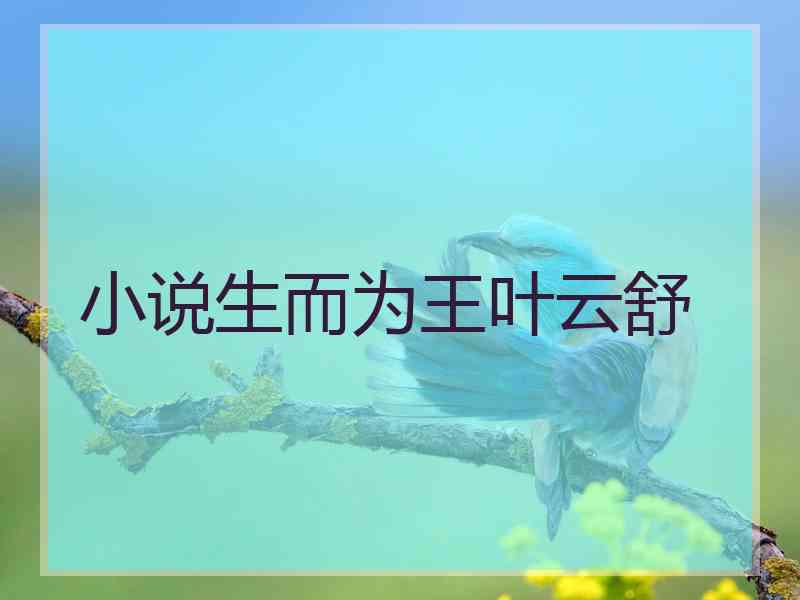 小说生而为王叶云舒