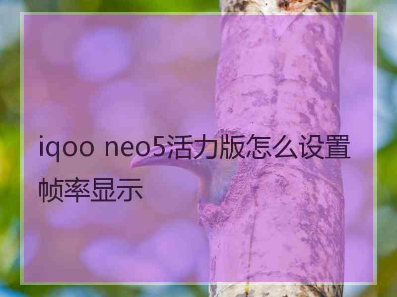 iqoo neo5活力版怎么设置帧率显示