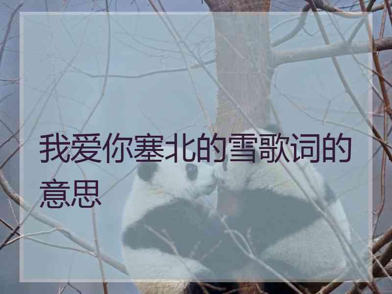 我爱你塞北的雪歌词的意思