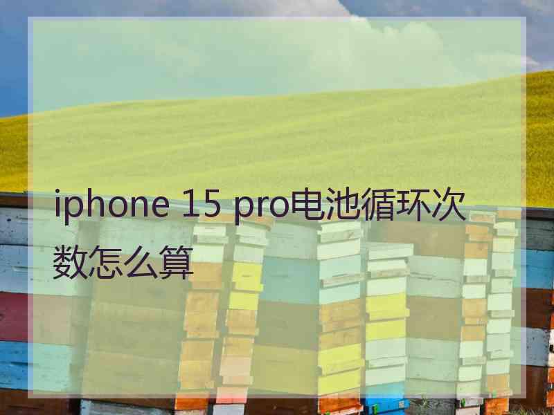 iphone 15 pro电池循环次数怎么算