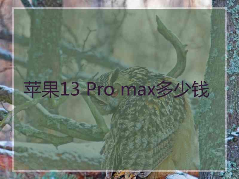 苹果13 Pro max多少钱