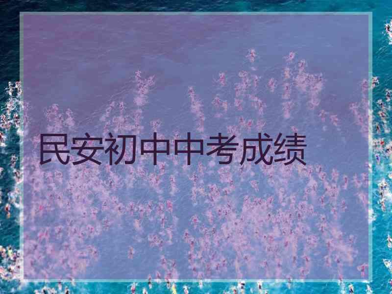 民安初中中考成绩