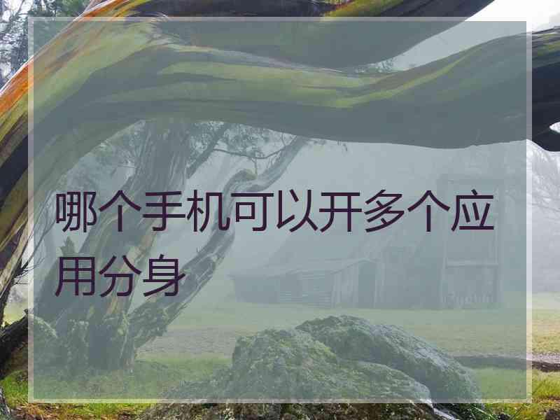 哪个手机可以开多个应用分身