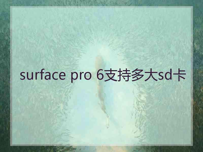 surface pro 6支持多大sd卡