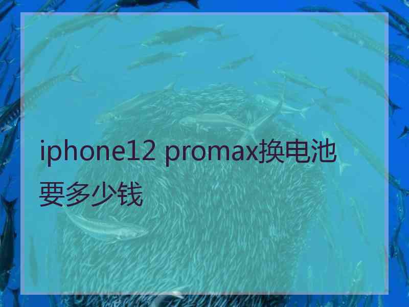 iphone12 promax换电池要多少钱