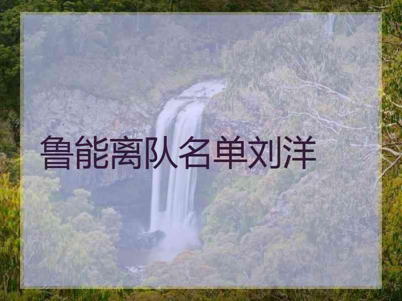 鲁能离队名单刘洋