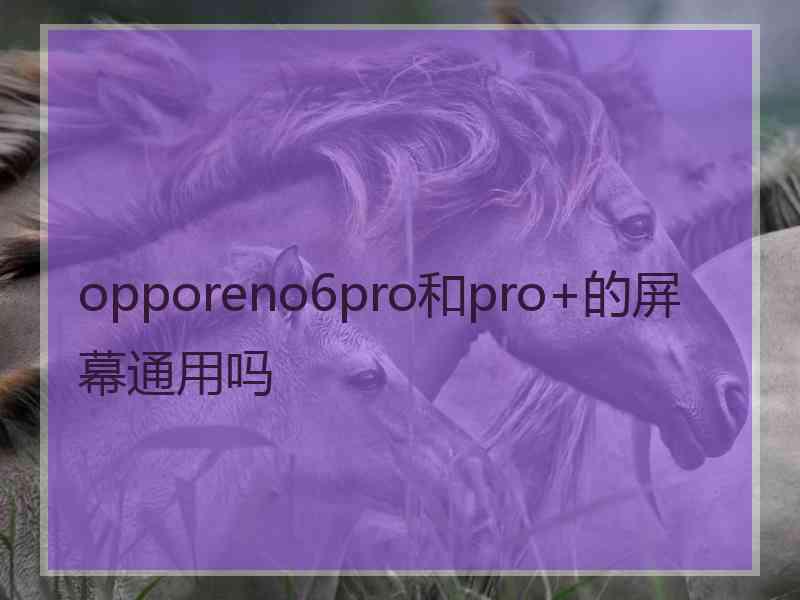 opporeno6pro和pro+的屏幕通用吗