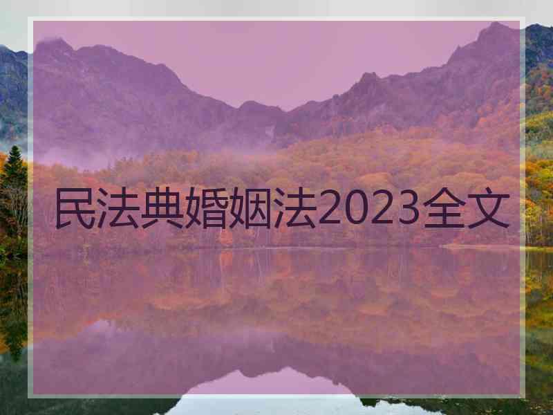 民法典婚姻法2023全文