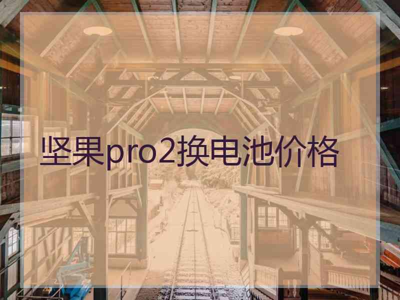 坚果pro2换电池价格