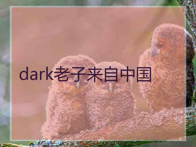 dark老子来自中国