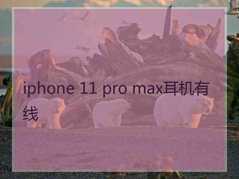 iphone 11 pro max耳机有线