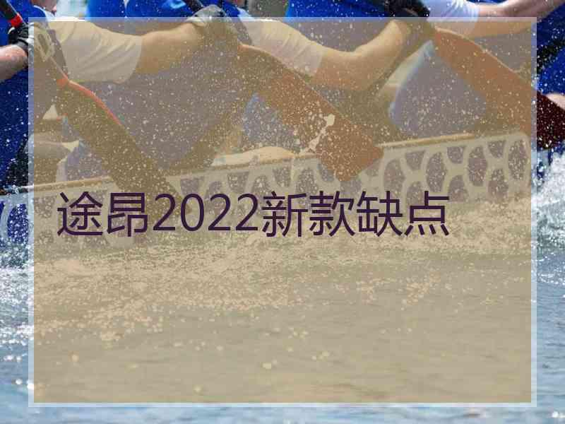 途昂2022新款缺点