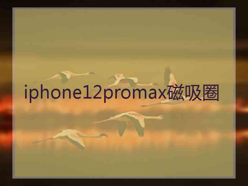 iphone12promax磁吸圈