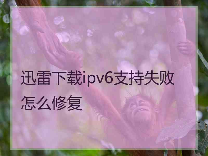 迅雷下载ipv6支持失败怎么修复