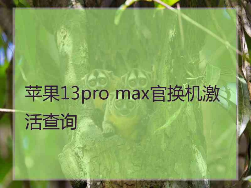 苹果13pro max官换机激活查询