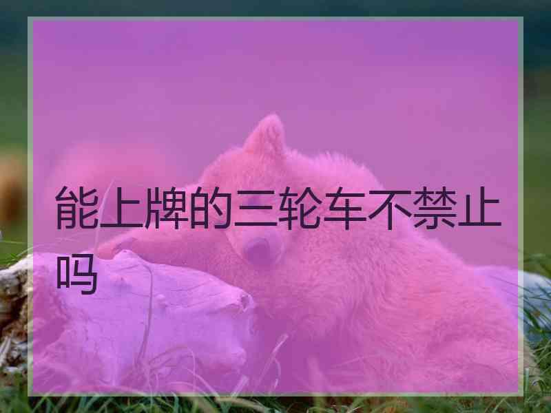 能上牌的三轮车不禁止吗