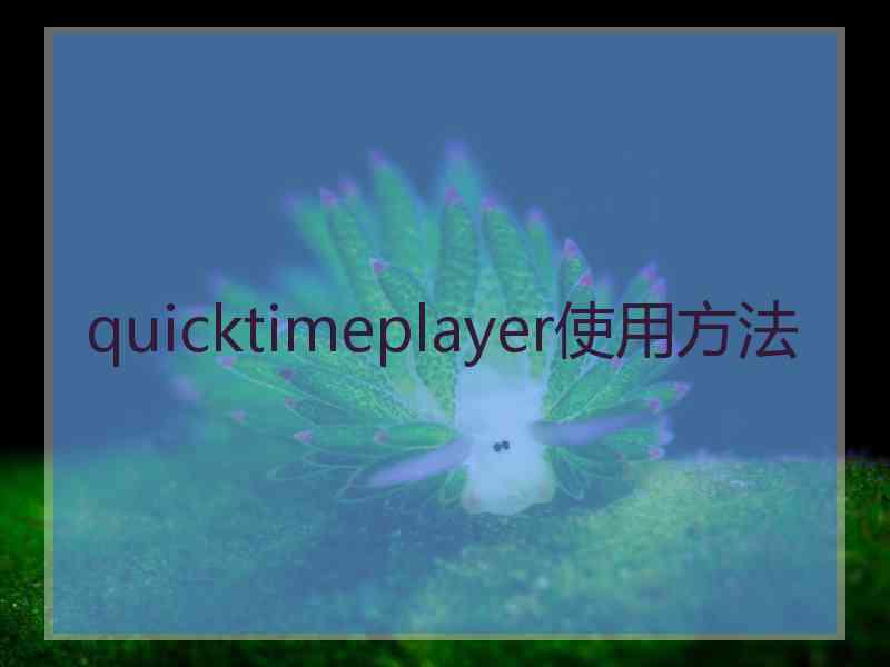 quicktimeplayer使用方法